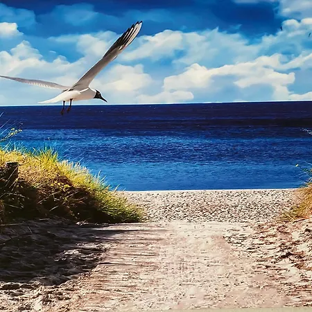 Wattn Kiste Ahoi Apartament *